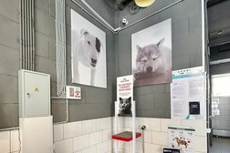 Ветеринарная клиника Анавет, с рейтингом 2.4 - находится по адресу Москва, поселение Сосенское, бульвар Веласкеса, 7к1 