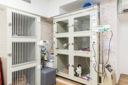 Ветеринарная клиника HappyПёс, с рейтингом 4.6 - находится по адресу Москва, улица Малая Пироговская, 25 