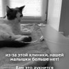 фото от пользователя Ольга в отзыве о ветеринарной клинике Зебра