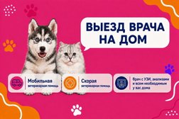 ЗООВЕТ-Дом