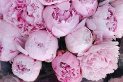 Интернет-магазин цветов и подарков Almaflowers.kz, с рейтингом 1 - находится по адресу Алматы, проспект Жибек Жолы, 53 