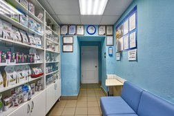 Ветеринарная клиника Дон Терьеро, с рейтингом 4.8 - находится по адресу Саратов, Советская улица, 25 