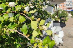 Центр раннего развития и реабилитации для детей Росток надежды, с рейтингом 2.8 - находится по адресу Краснодарский край, Анапа, улица Омелькова, 20 к6 