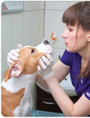 Лукьяшина Анна Николаевна