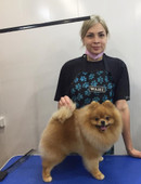 Соколова Екатерина Валерьевна