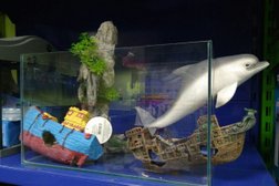 Зоомагазин Белая акула, с рейтингом 3 - находится по адресу Ростов-на-Дону, проспект Ленина, 245/4 