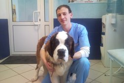 Ветеринарный кабинет Багира, с рейтингом 4.5 - находится по адресу Нижний Новгород, улица Ванеева, 227 