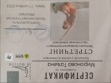 сертификат/документ Спортивного клуба Стремление в Чехове