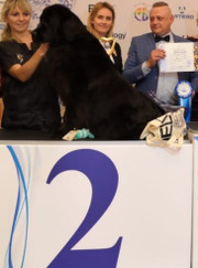 Грумер, кинолог Марина Сергеевна Воронина