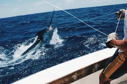 Сервис бронирования рыболовных туров Fish.Travel, с рейтингом 2.8 - находится по адресу Москва, Монтажная улица, 9с1 