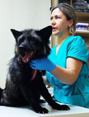 Алькинская Наталья Григорьевна