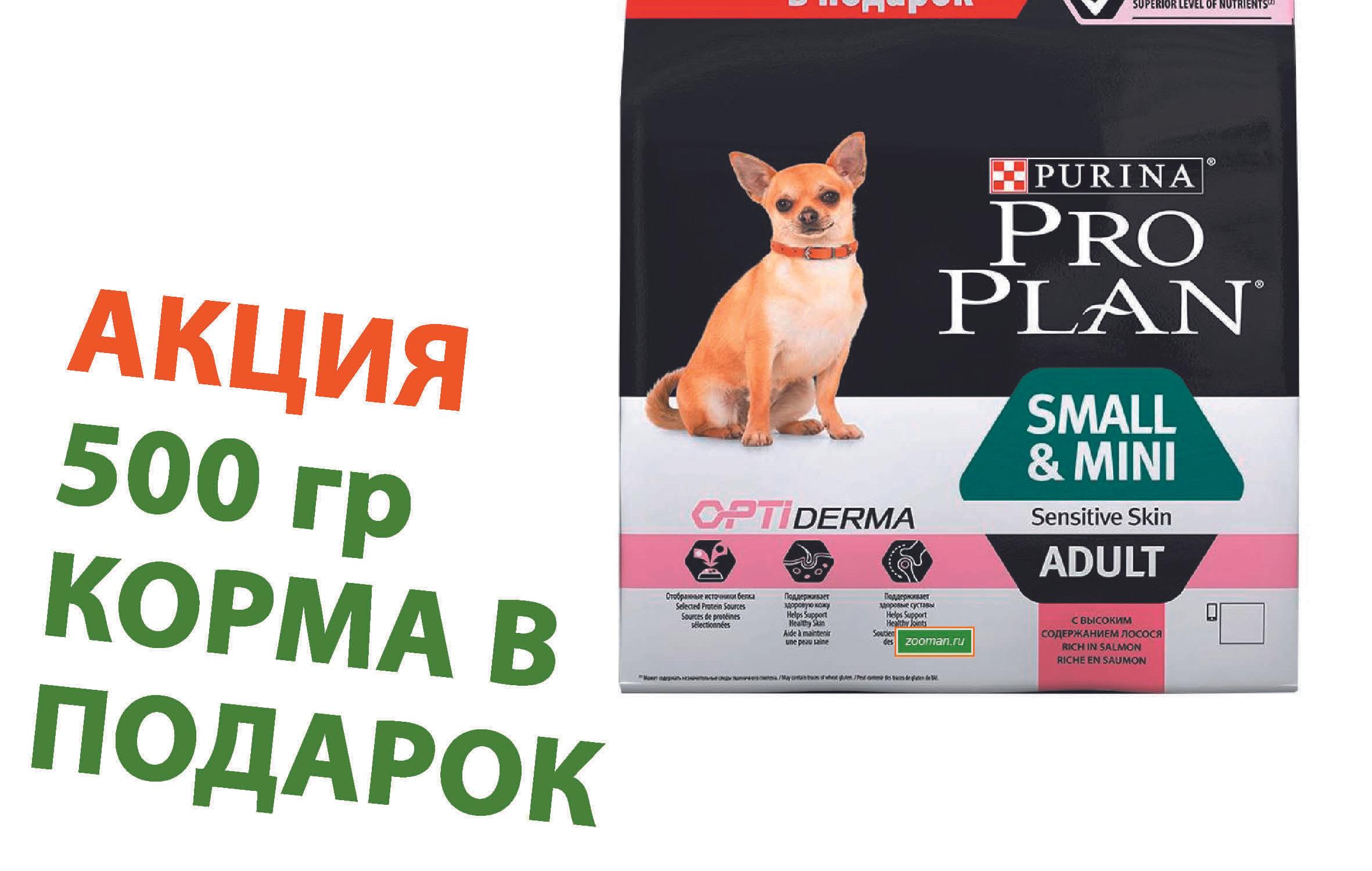 Кот И Пес Зоомагазин Интернет Магазин