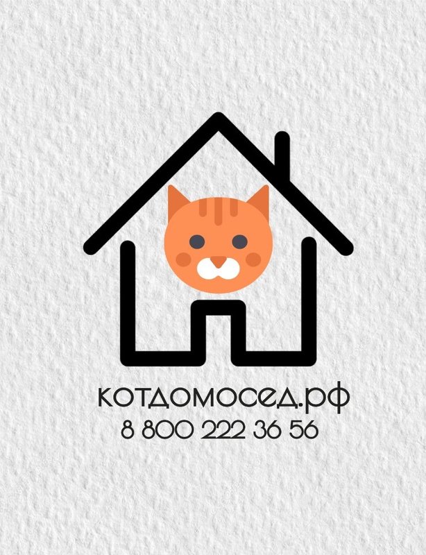 фотография Выездной службы по уходу за животными Кот Домосед на Халтуринской улице