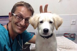 Ветеринарная клиника Усатый-хвостатый, с рейтингом 5 - находится по адресу Московская область, Балашиха, микрорайон Авиаторов, Лётная улица, 2 