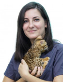 Мехтиева Екатерина Евгеньевна