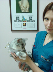 Ветеринар Александра Михайловна Аверьянова