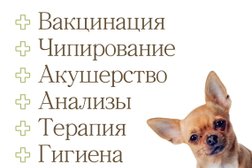 Ветеринарная клиника Ветеринарный спасатель, с рейтингом 5 - находится по адресу Москва, Маломосковская улица, 22с1 