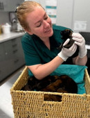 Стахович Евгения Андреевна