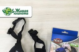 Зоомагазин Живая планета, с рейтингом 3.4 - находится по адресу Тюмень, Заречный проезд, 33 