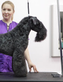 Кантутис Евгения