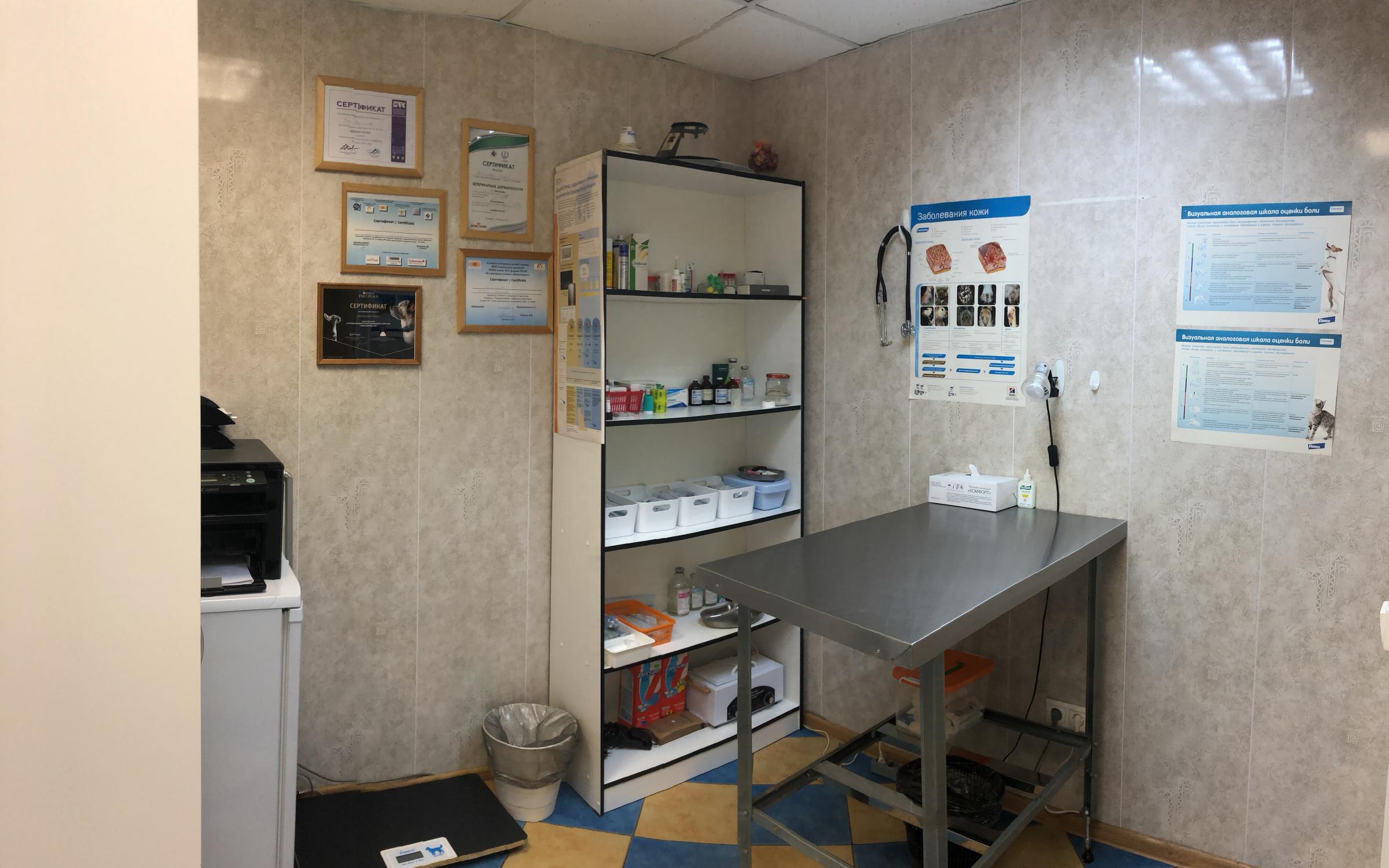 Наша ветклиника, ветеринарная клиника на метро Беговая в Москве ...