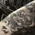 фотография NIK INK