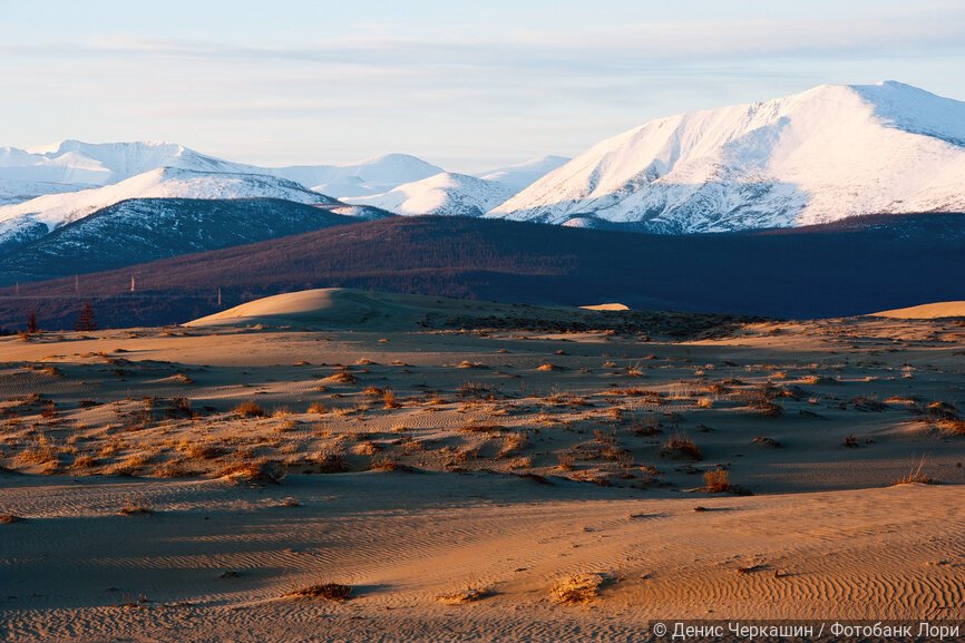 Вид на заснеженные горы и пустынную равнину