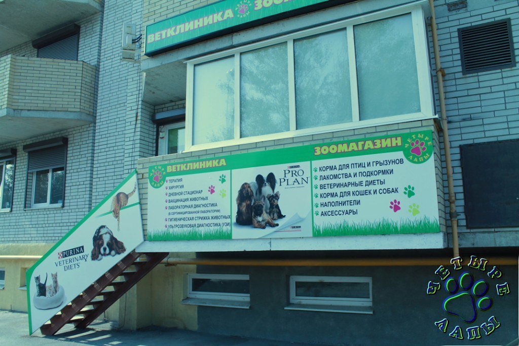 Ветклиника на стачках в ростове на дону. Ветклиника Батайск. 4 Лапы ветклиника.