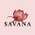 фотография Savana