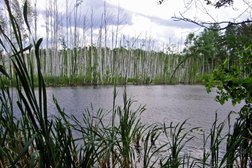 База отдыха Маклок, с рейтингом 2.6 - находится по адресу Воронежская область, посёлок Маклок, 1 