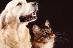 Ветеринарная лечебница Ленинского района, с рейтингом 3.6 - находится по адресу Астрахань, улица Староверова, 57 