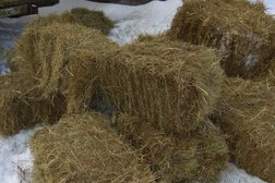 Торговая компания Сено №1, с рейтингом 4 - находится по адресу Москва, Никопольская улица, 6 ст9 
