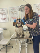 Грозенская Анна Вячеславовна