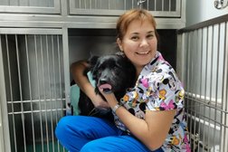 Ветеринарная клиника Хатико, с рейтингом 4 - находится по адресу Калуга, Карачевская, 19а 