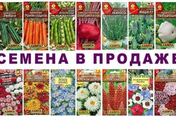Магазин Знак зодиака, с рейтингом 3 - находится по адресу Республика Коми, Ухта, проспект Космонавтов, 26 
