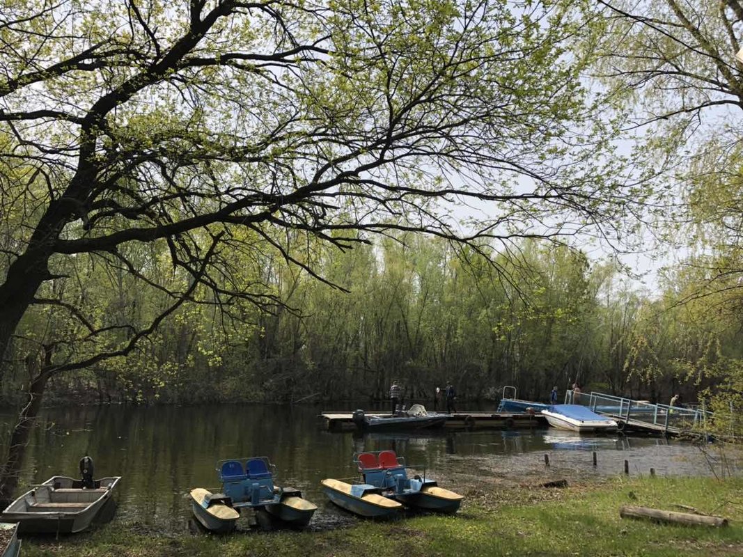 Дубовая грива турбаза саратов фото