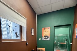 Усатые Гости, с рейтингом 5 - находится по адресу Москва, Новочерёмушкинская улица, 63 к2 