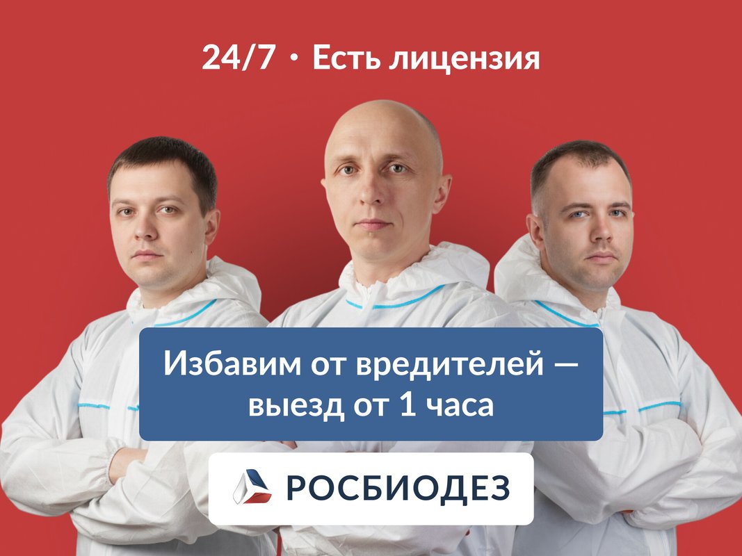 фотография работы Службы дезинфекции Росбиодез