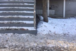 Барбершоп Black papa, с рейтингом 2.8 - находится по адресу Челябинск, улица Энгельса, 36 