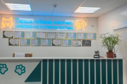 Ветеринарная клиника Zooстатус, с рейтингом 5 - находится по адресу Калининград, Интернациональная улица, 40а 