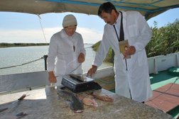 Научно-производственный центр рыбного хозяйства, с рейтингом 2 - находится по адресу Алматы, Суюнбая проспект, 89а 