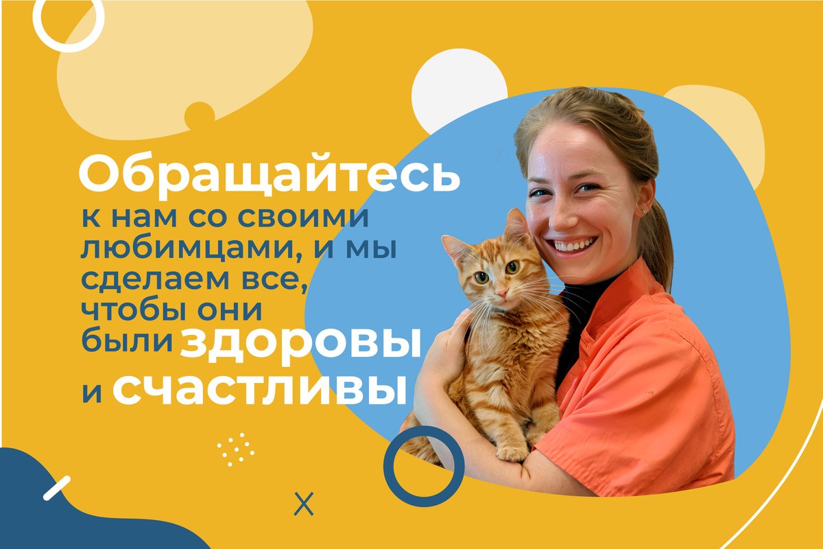 фотография Выездной ветеринарной службы ЗООВЕТ-Дом в Мытищах