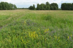 Некоммерческое партнерство Журавли, с рейтингом 2.5 - находится по адресу Челябинская область, с. Долгодеревенское, Свердловская улица, 16а 