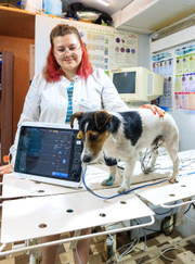 Ветеринар, ветеринарный анестезиолог-реаниматолог Кристина Анатольевна Доломан