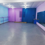 фотография COLIBRI