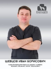 Ветеринарный хирург, ветеринар Иван Борисович Шевцов