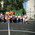 фотография Mandarin school