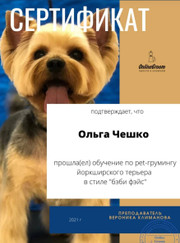 Грумер Ольга Чешко