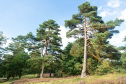 Центральный офис продаж Удача, с рейтингом 4.4 - находится по адресу Москва, Пресненская набережная, 12 