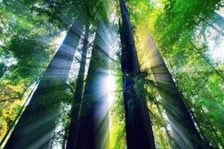 Китайская газета Великая эпоха, с рейтингом 5 - находится по адресу Иркутск, Рабочего Штаба, 31 